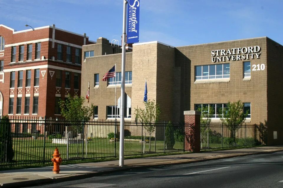 Strayer university