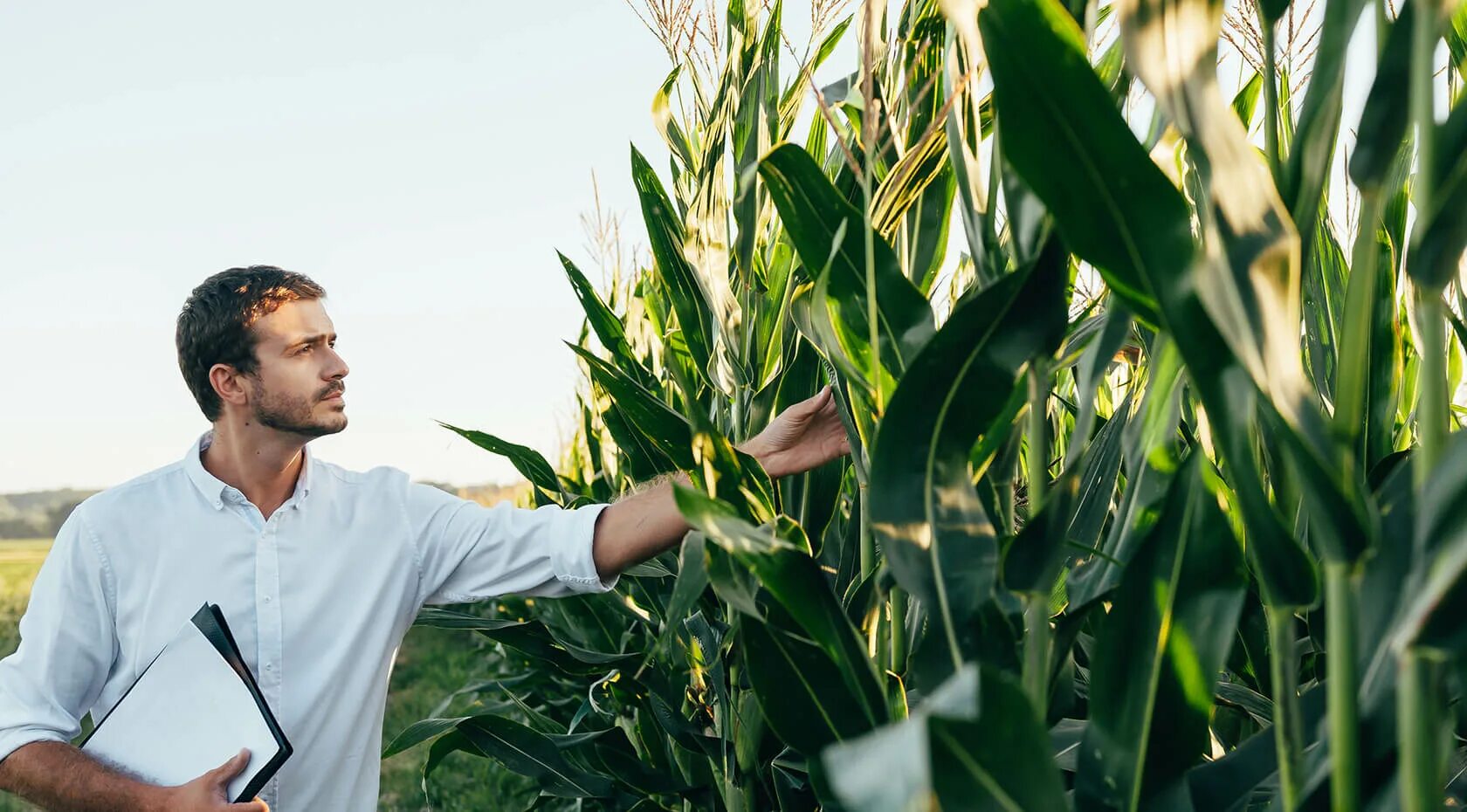 работники сельского хозяйства. агроном полевод. агрономия. инженер агроном. агроном в поле.