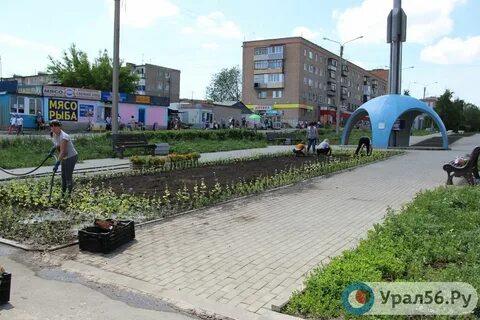 Цветочка орск