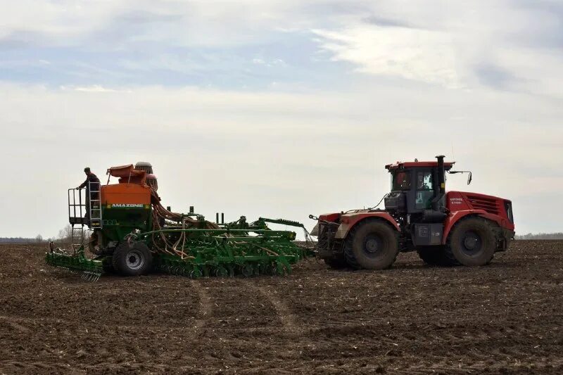 джон дир посевная техника. бизнес по выращиванию кукурузы. сколько гектаров было засеяно кукурузой. трактор в поле. сев кукурузы.