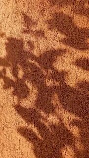 Wall of shadow