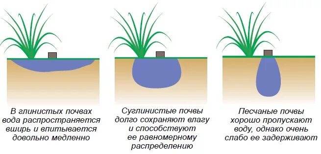 Впитывание воды в почву. Влага в почве. Проникновение воды в почву. Водоподъемная способность почвы.