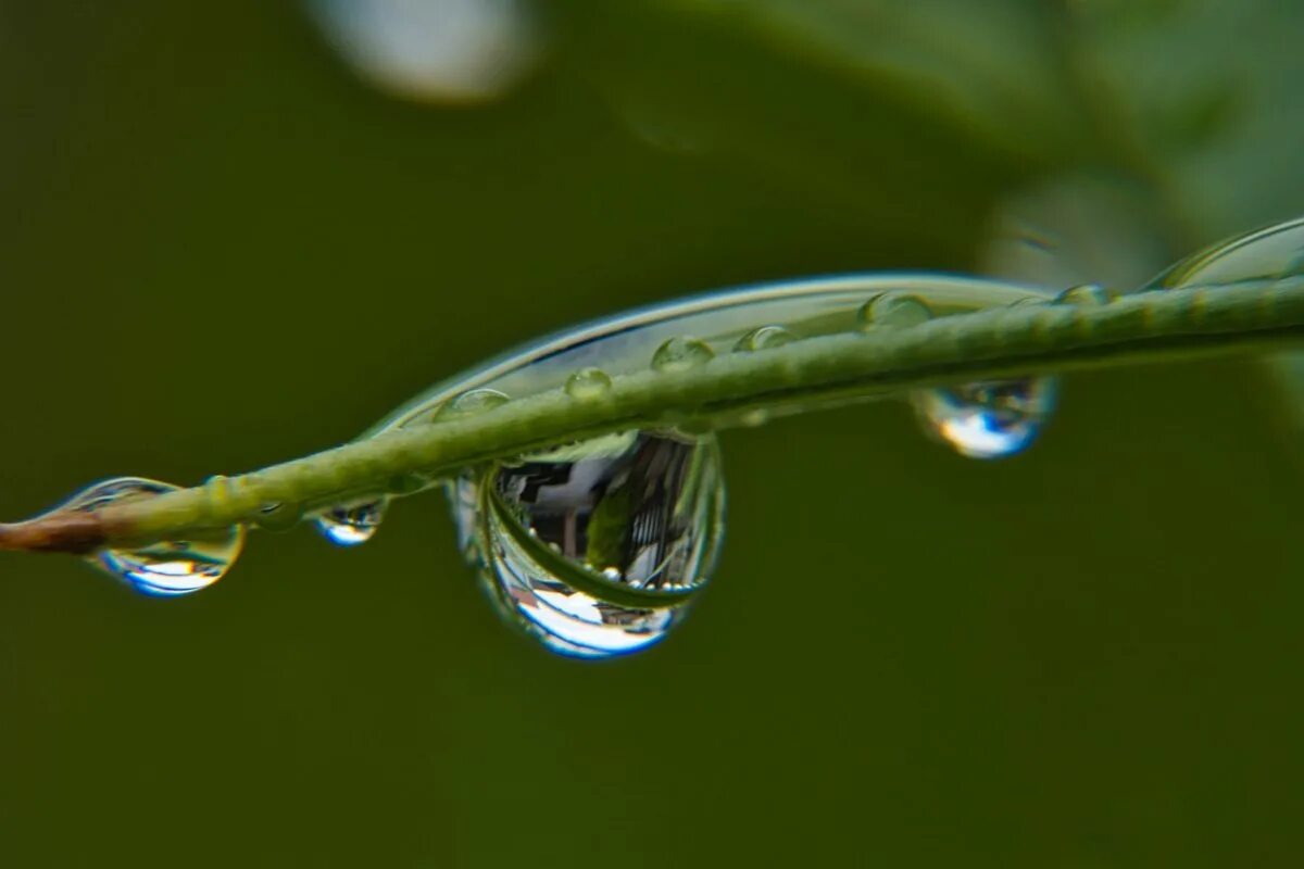 Капли воды. Дождевая капля. Капелька воды. Капельки дождя.