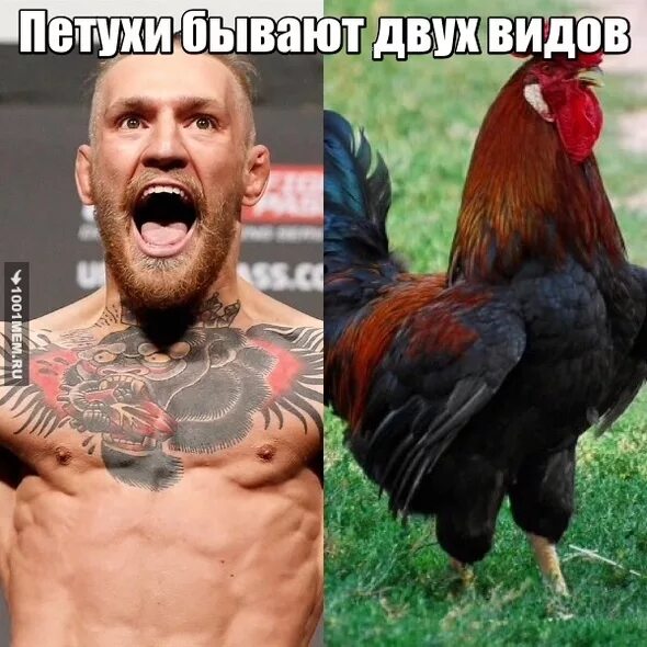 владимир яковлев полицейский с рублевки. володя яковлев содомиты. владимир яковлев полицейский с рублевки.