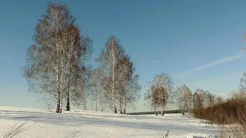 Алтайский край в феврале