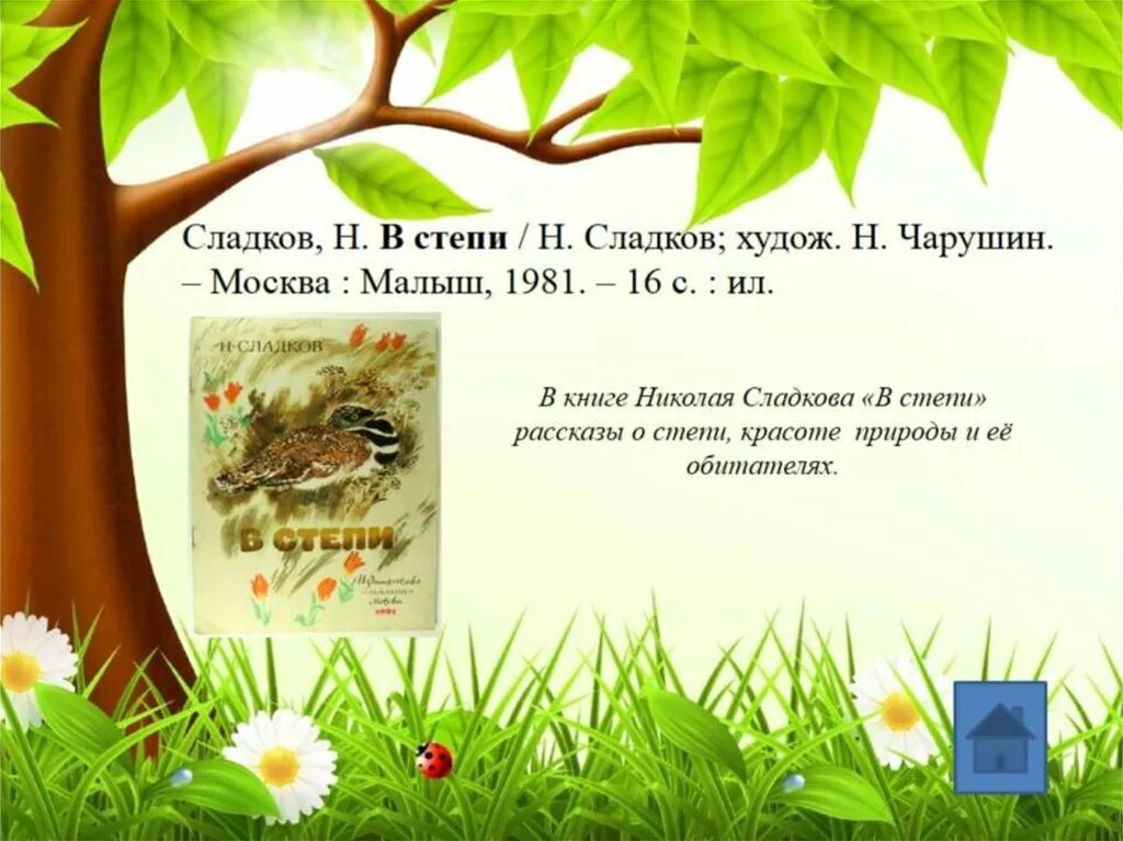 Сладков книги для детей. Сладков книги о природе. Сладков Лесные тайнички. Сладков читать 2 класс