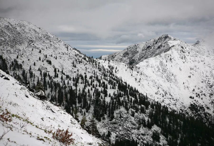 горы иркутской области. горы хамар дабан. горы прибайкалья. река чуя горный алтай. пик черского слюдянка.