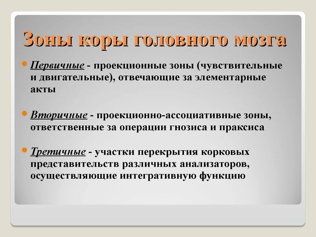 Первичные зоны коры головного мозга. Первичные и вторичные проекционные зоны. Первичные и вторичные проекционные зоны коры. Зоны коры головного мозга первичная вторичная третичная.