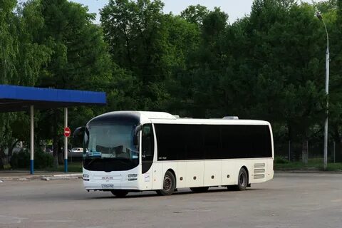 Черкассы самара автобус