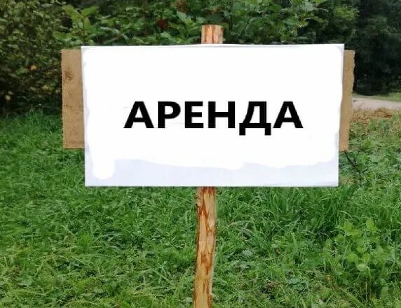 Участки сдающие. Арендуемый земельный участок. Сдается в аренду земельный участок. Аренда земли. Сдам земельный участок в аренду.