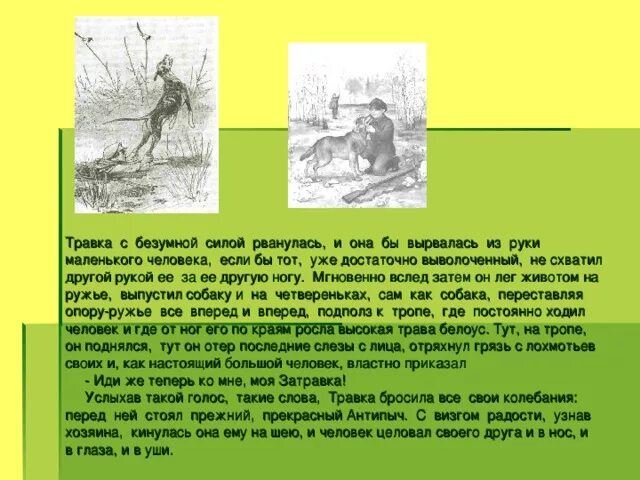 Сочинение кладовая солнца. Сочинение на тему кладовая солнца. Сочинение кладовое солнце. Сочинение "тема природы кладовая солнца". Сказка быль кладовая солнца сочинение