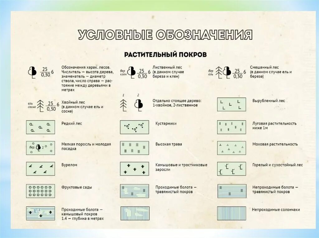 Сельское хозяйство условные знаки. Условные знаки топографических карт растительный Покров. Обозначение леса топографических карт. Условные обозначения леса на топографической карте. Обозначение лесов на топографической карте.