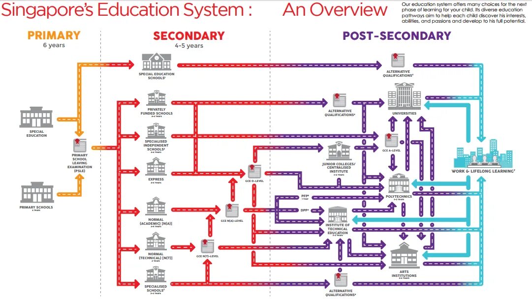 система образования сингапура структура. Education system презентация. Your system education. Education system. Dutch educational system.