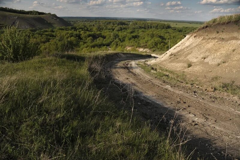 Потудань воронежская область. Скупая потудань воронежская. Потудань белгородская область. Скупая потудань. Скупая потудань воронежская.