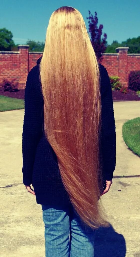 Длинные волосы. Длинные волосы очень длинные и здоровые. Отрастить длинные волосы. Длинные волосы до колен. Длинные здоровые волосы.