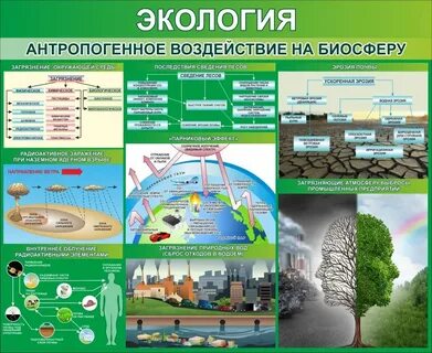 Экология биология окружающей среды