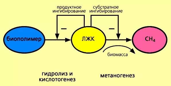 Метаногенез. Метаногенез архей. Метаногенные бактерии метаногенез. Метаногенез. Метаногенез.
