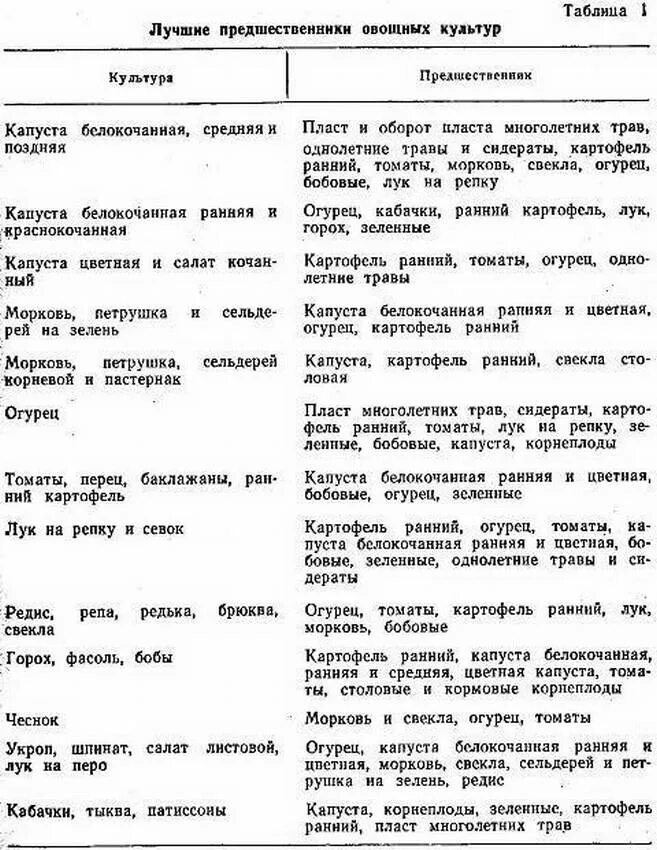 Что лучше садить после капусты. Чередование посадок овощных культур таблица. Таблица севооборота овощных культур. Лучшие предшественники и соседи для овощных культур. Таблица севооборота овощных культур на огороде.