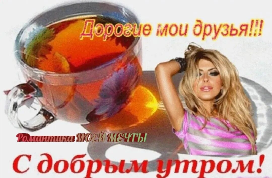 Мой дорогой друг 2016