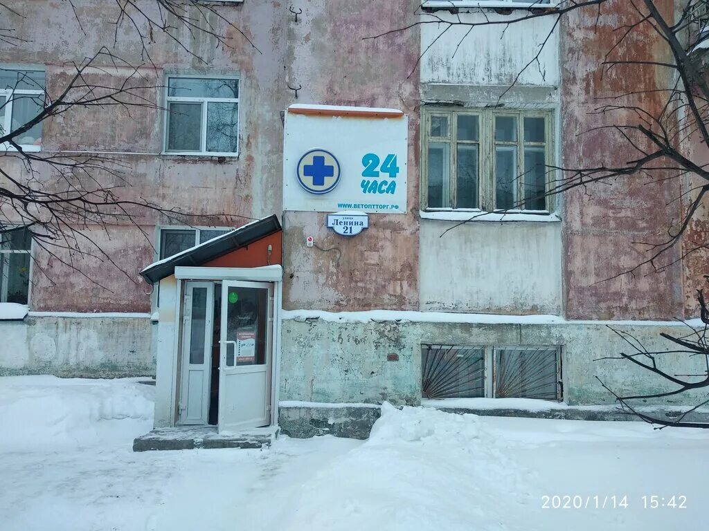 доктор пух ижевск. ветеринарная клиника в лысьве на кострова. ветеринарная клиника вывеска. лысьва. ветлечебница лысьва.