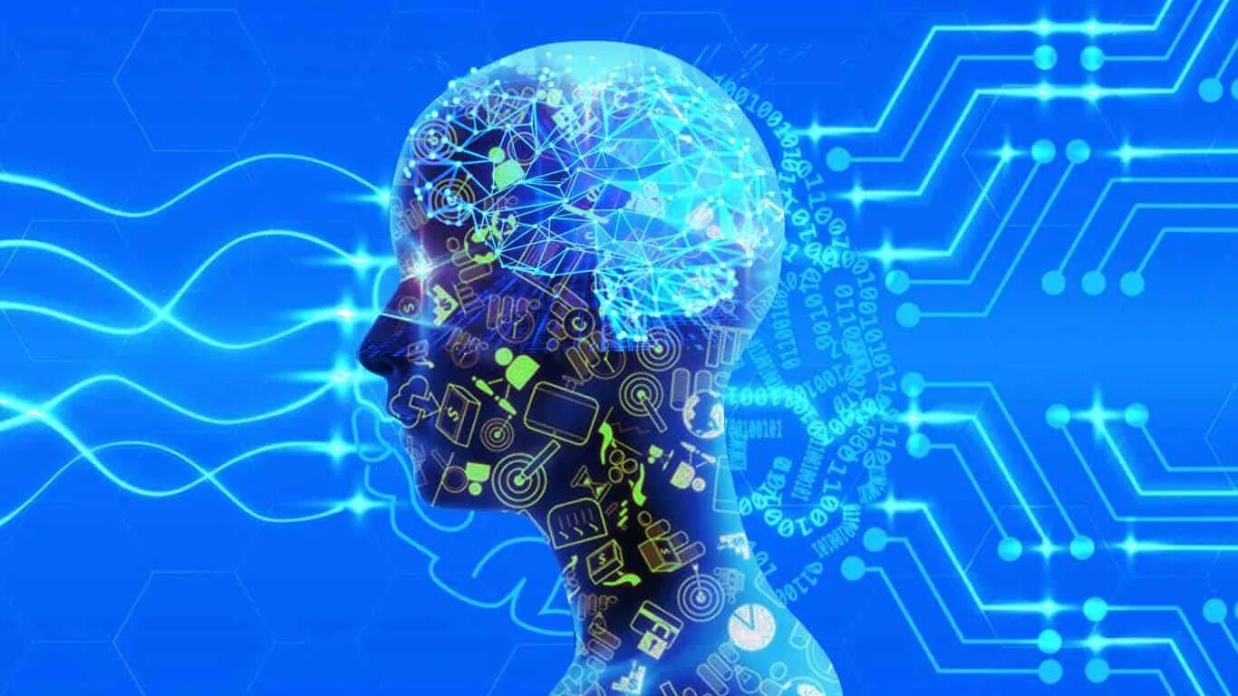 Neuro net