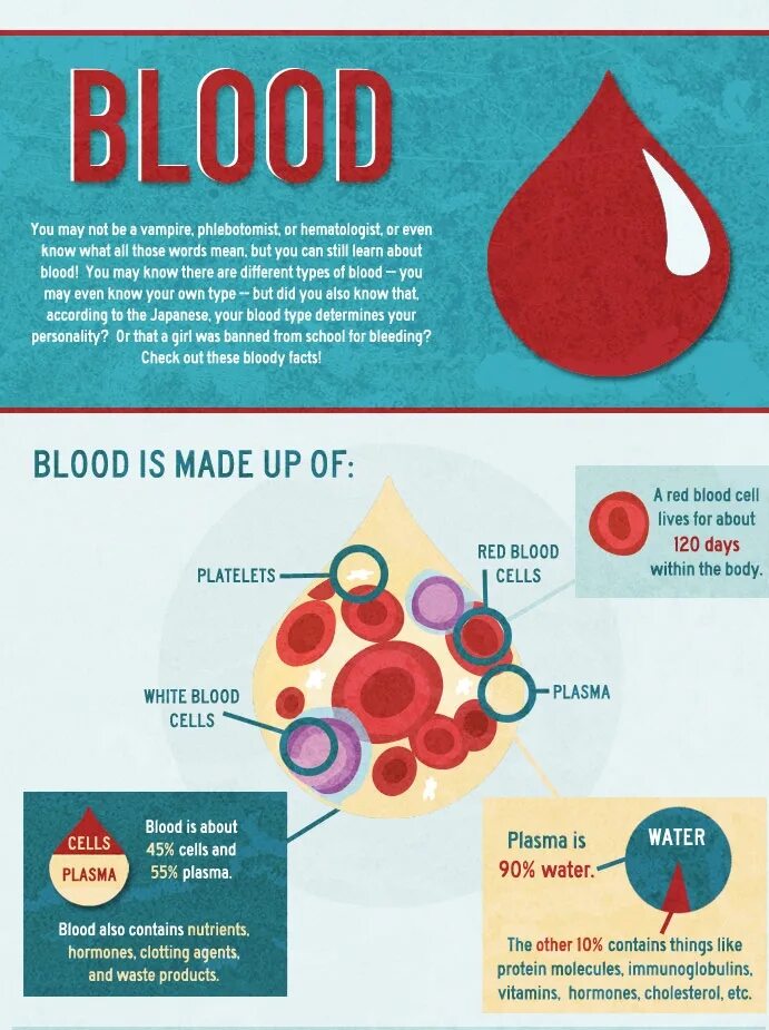 Blood detox. Your blood makes. Your blood makes. Blood type надпись красивая. The blood sugar solution.