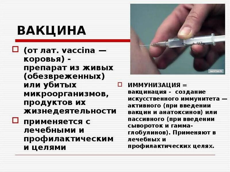 Система вакцина. Вакцинация. Прививки. Иммунизация и вакцинация. Вакцина и прививка.