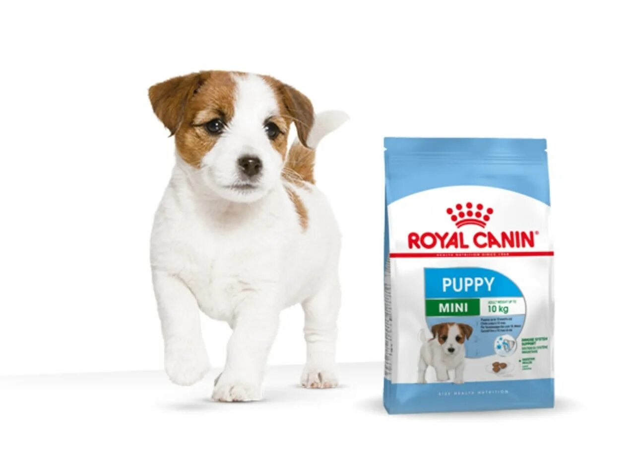 Royal canin puppy. Royal Canin Mini Puppy. Роял Канин мини Паппи 1 кг. Роял мини Паппи. Вет Роял Канин корм сухой мини Паппи д/щенков мелких пород 4кг.