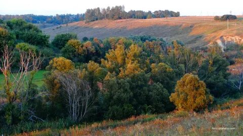 Любимовка курская область большесолдатский погода