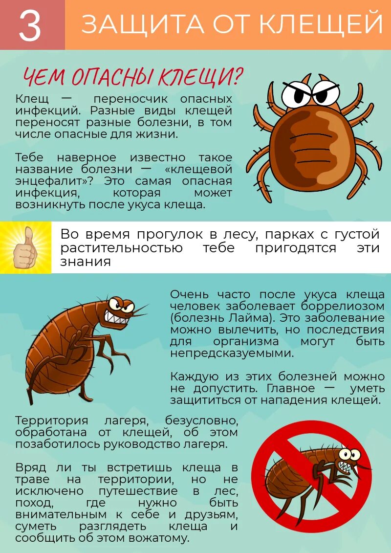 Клещевой энцефалитный клещ. Клещевой энцефалитный клещ. Ixodes ricinus. Самый ядовитый клещ. Лесные клещи.