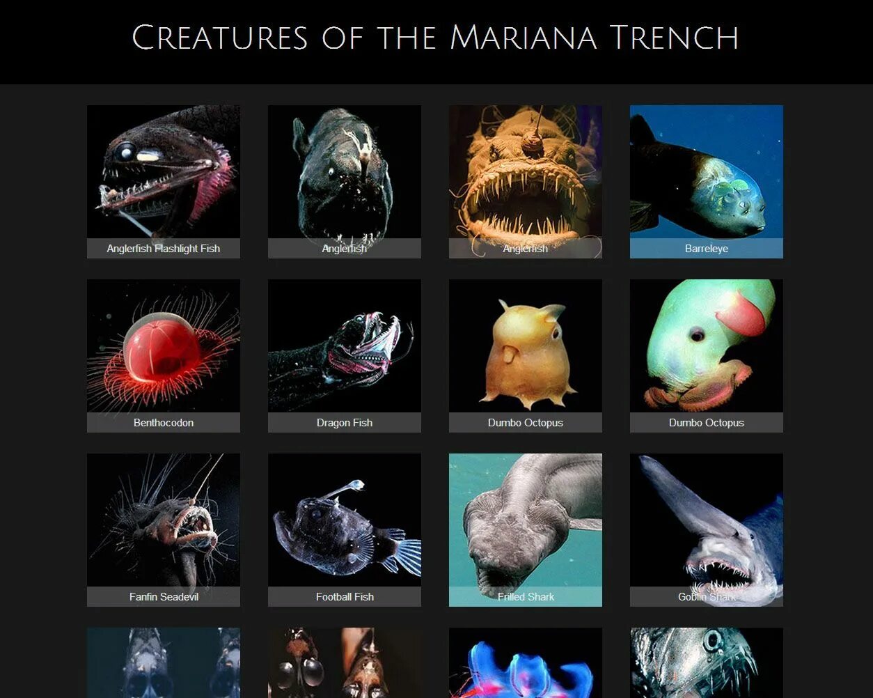 Fish creature. Марианская впадина бездна Челленджера обитатели. Рыбы обитающие в Марианской впадине. Глубинные рыбы. Существа обитающие в Марианской впадине.