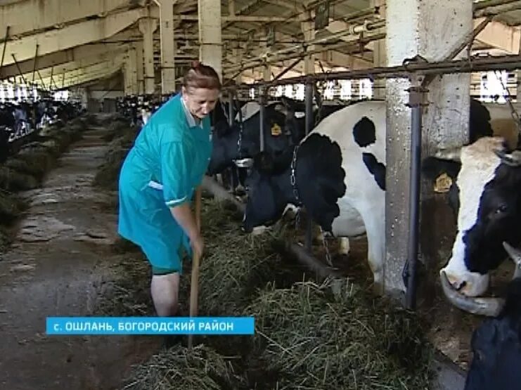 Колхоз передача. Спк колхоз имени кирова пышминский район. спк кирова пышминский район колхоз имени кирова. колхоз заря богородский район нижегородской области. колхоз новый путь кировская область.