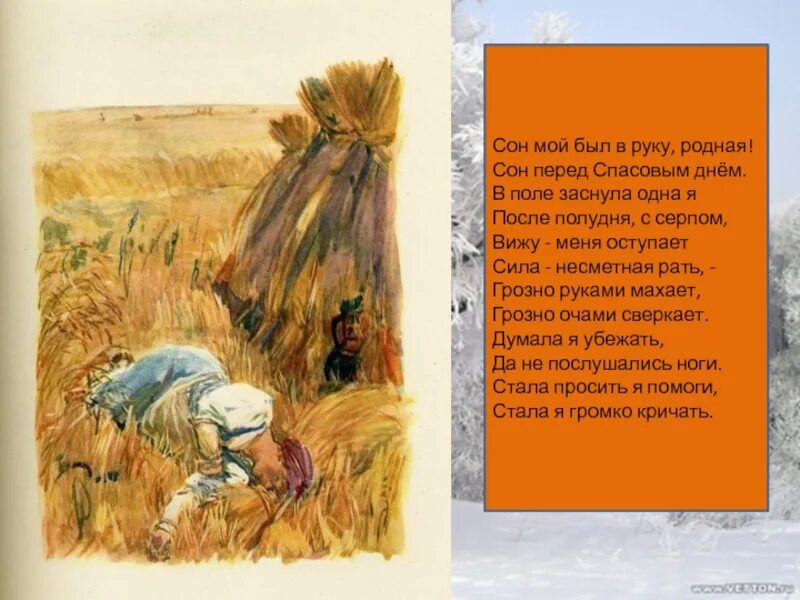 Мороз красный нос краткое содержание. Сочинение мороз красный нос. Мороз красный нос читательский дневник 5. Мороз красный нос иллюстрации. Поэма мороз красный нос.
