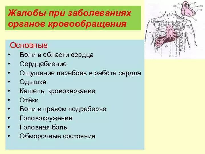 Симптомы поражения органов. Жалобы больных при заболеваниях органов кровообращения. Основные симптомы при заболеваниях системы кровообращения. Жалобы больного с заболеваниями органов кровообращения. Жалобы больных с заболеваниями органов кровообращения..