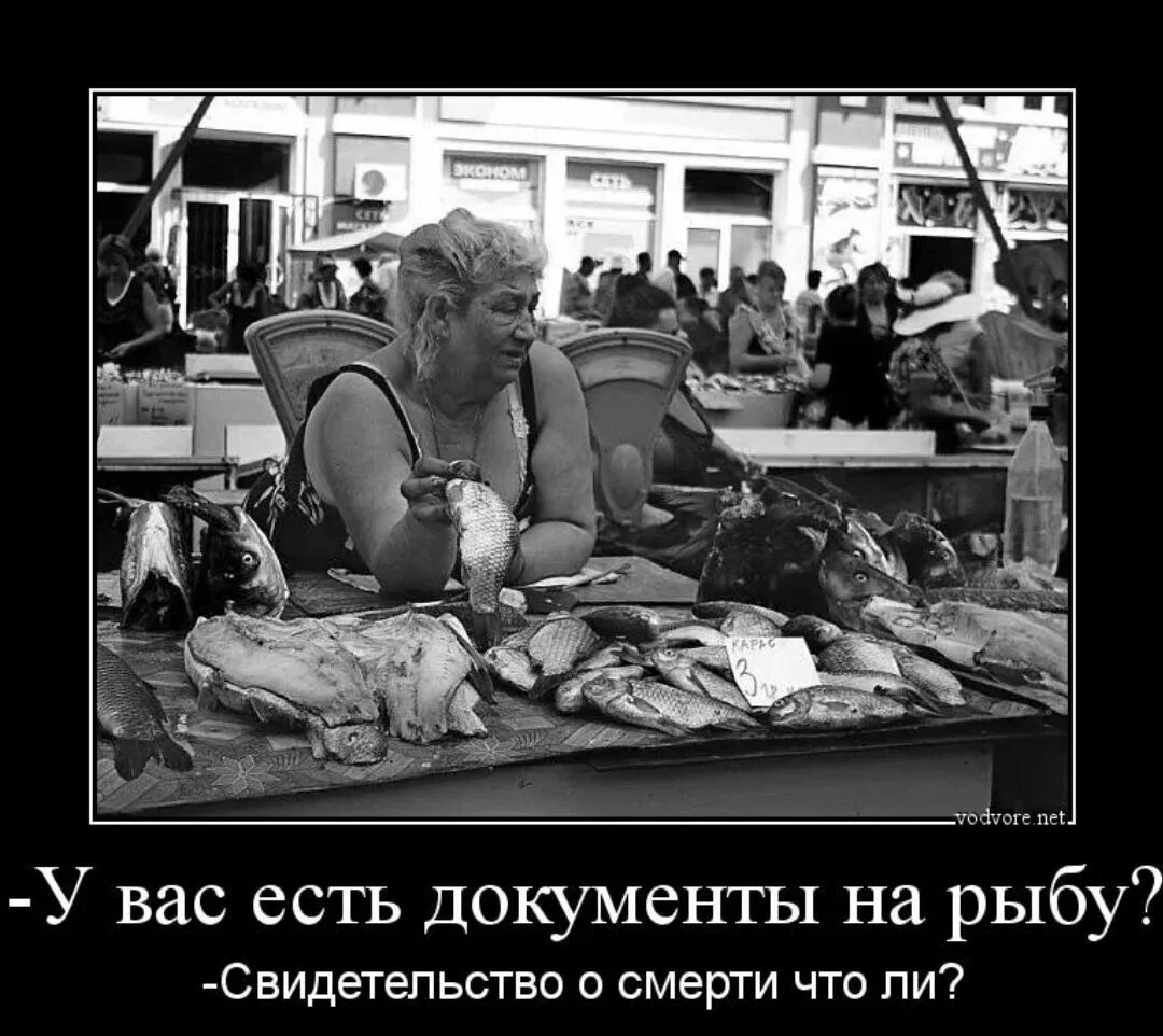 Самые свежие приколы. Шутки про рыбу. Демотиватор. Демотиваторы смешные. Шутки демотиваторы.