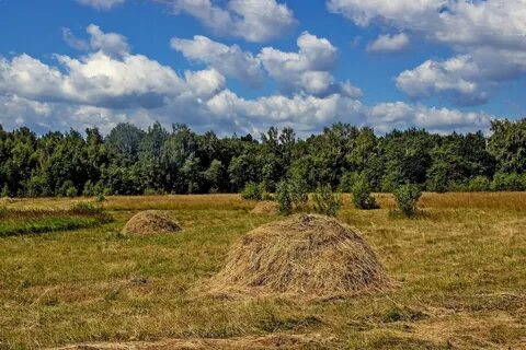 Видишь в поле сядешь