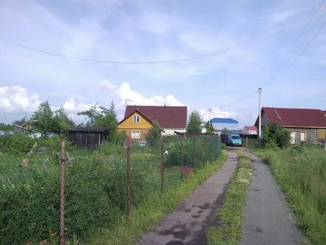 Снт разлив сайт. Снт разлив 1 аллея. 17 панорама. Снт разлив сестрорецк. Снт разлив.