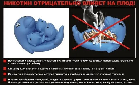 Влияние наркотиков на развитие зародыша