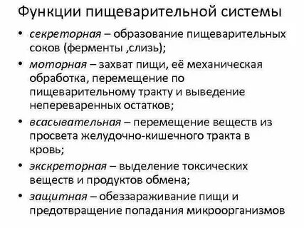 Пищеварительные функции