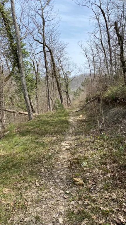 горные речки кыргызстана. горы с высоты. гора семиглавая туапсинский район. гора индюк туапсе. гора миллионы.