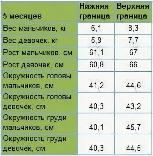 Норма веса в 5 месяцев. Сколько весит грудничок в 5 месяцев. норма веса и роста ребенка в 5 месяцев мальчик. уес ребенка в 5 месяцев. уес ребенка в 6 месяцев.