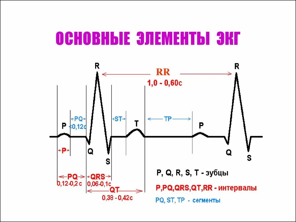 Схема сердечного цикла ЭКГ. ЭКГ зубцы систола. ЭКГ И фазы сердечного цикла. Фазы сердечного цикла на кардиограмме. Тяжелое экг