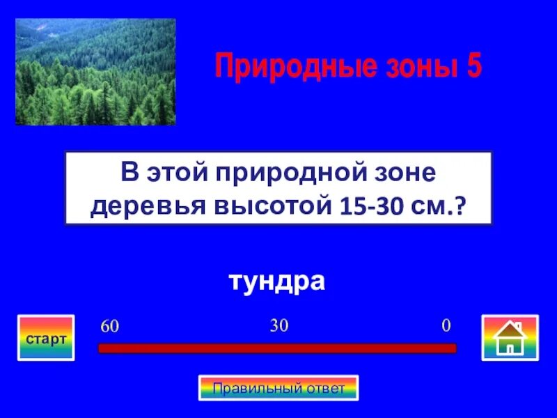 Игра по географии России. Своя игра 9 класс география презентация. В какой природной зоне деревья 15-30 см. Презентация своя игра по географии 5 класс. Игра по географии 8 класс