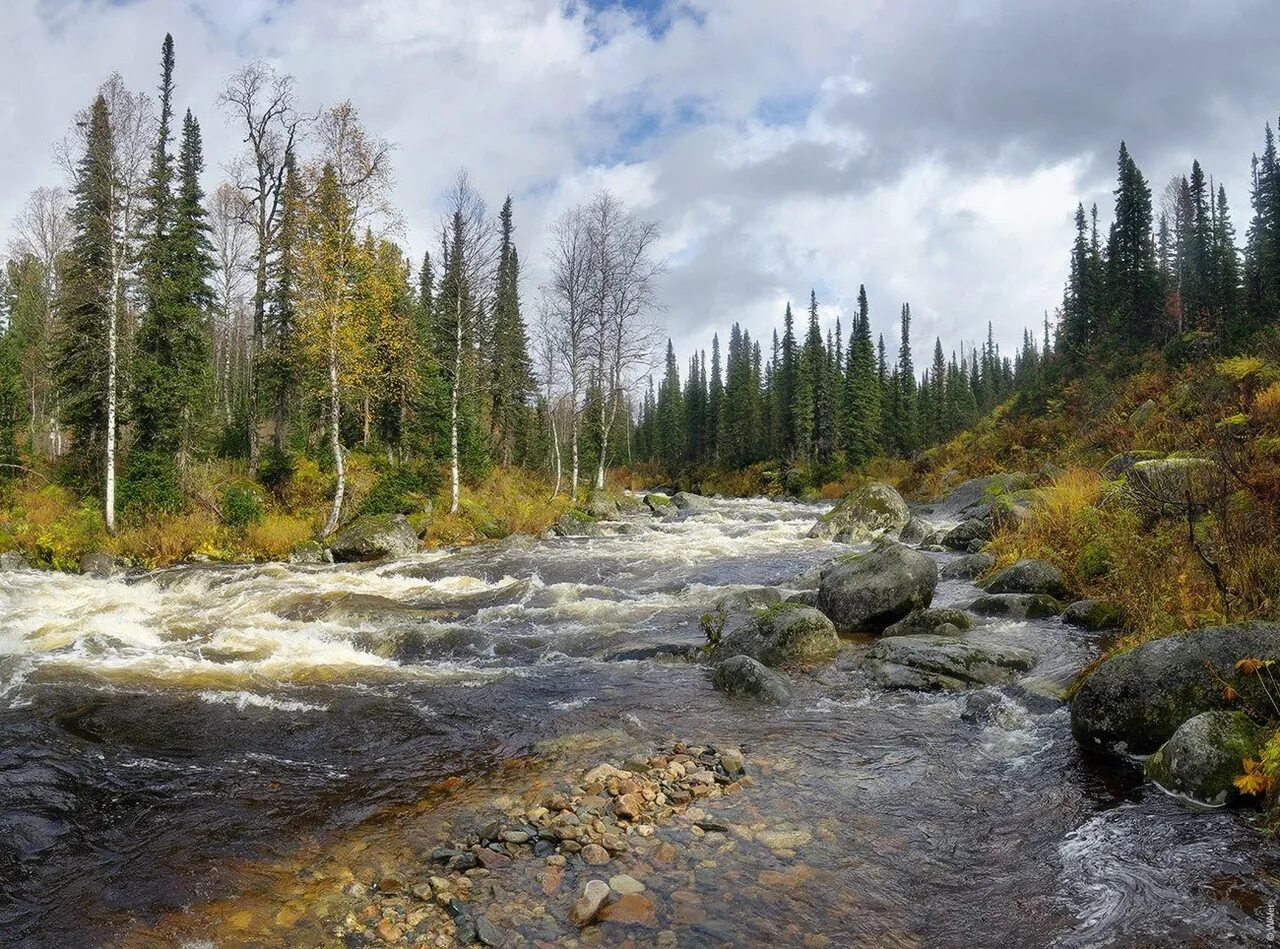 Река тоже. Река Бельсу Кемеровская область. Река Бельсу Междуреченск. Верховья реки Бельсу. Междуреченск заказник Бельсу.