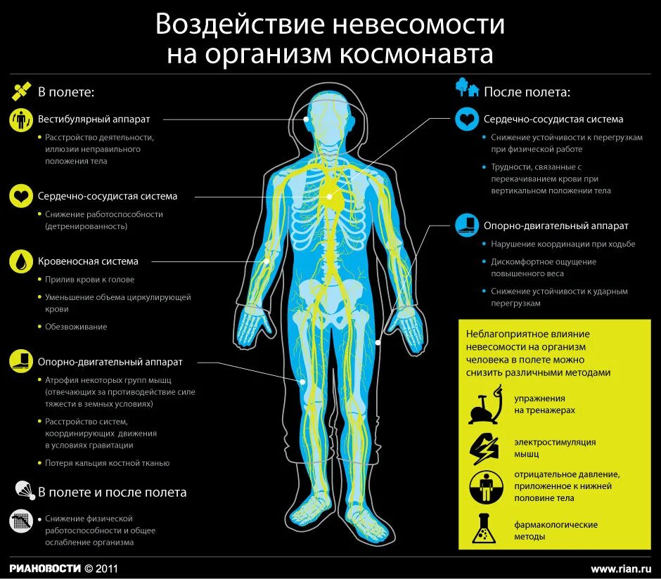 Влияние тела. Влияние невесомости и перегрузок на организм человека. Факторы влияющие на человека в космосе. Воздействие космоса на организм человека. Воздействие невесомости на человека.