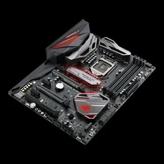Asus maximus