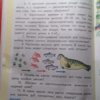 Объяснение в учебнике