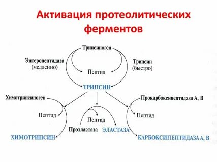 Механизмы активации