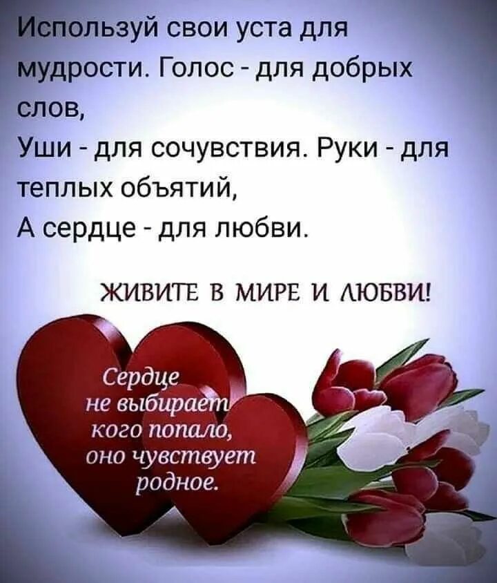Живу сердцем и люблю душой