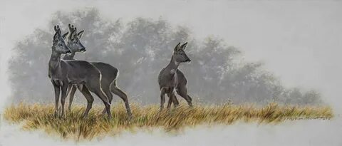 Hunt other